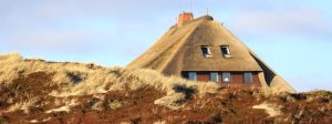 Exklusive Ferienhäuser in Rantum auf Sylt für 2 bis 6 Personen und Hund bei acquando.de