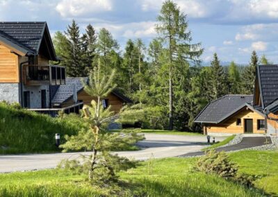 Neues Chalet Tomtegl auf der Hochrindl/ Kärnten für 4 Personen und Hund