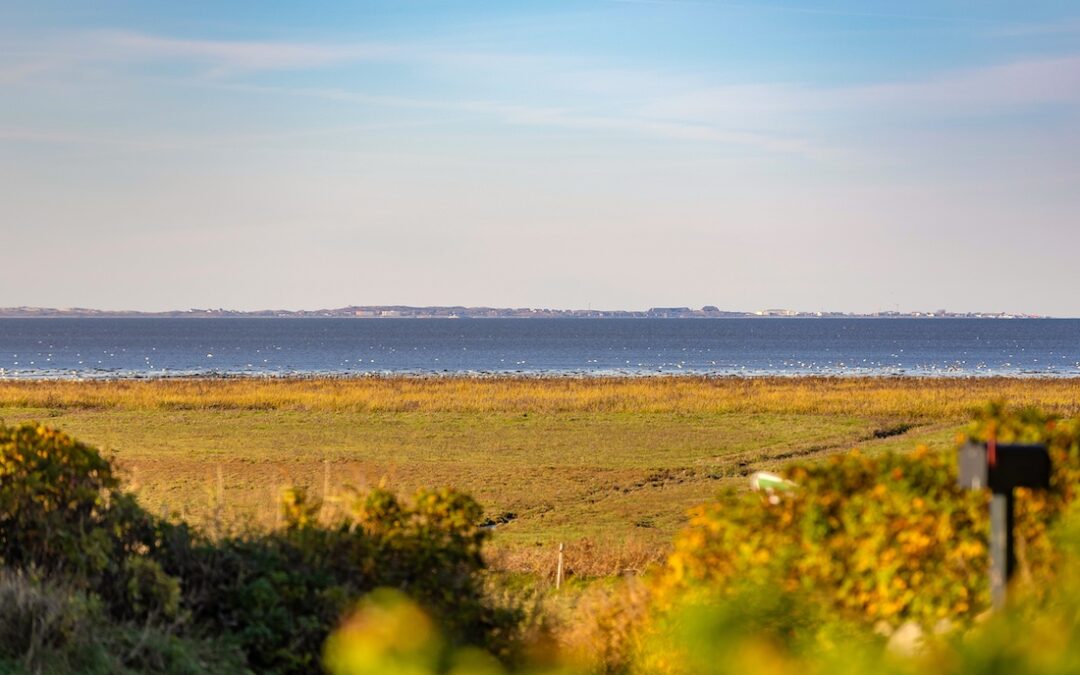 NEU: Ferienwohnung Wattkieker in Morsum