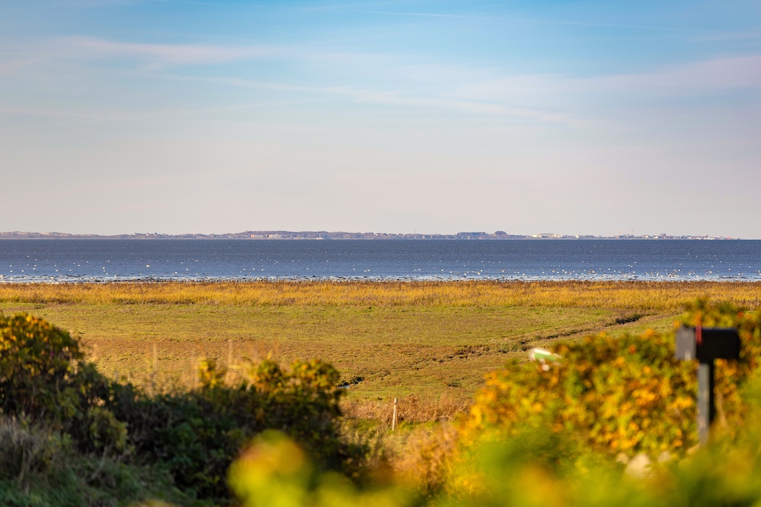 NEU: Ferienwohnung Wattkieker in Morsum